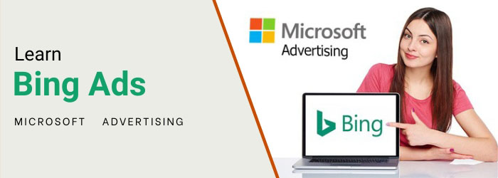 microsoft bing ads Course